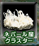 ネパール産クラスター