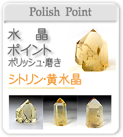 �V�g����