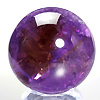 AMBO121:�A���g�����ۋ�