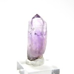 amnp006