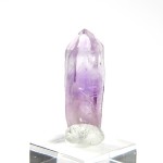 amnp007