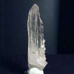 clnp043