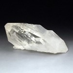 clnp081