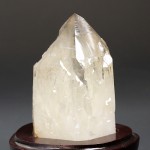 clnp110