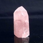 ropp029