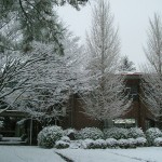 雪景色の図書館