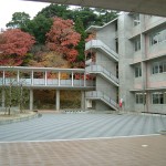 これはひょっとしてプールがあった場所？