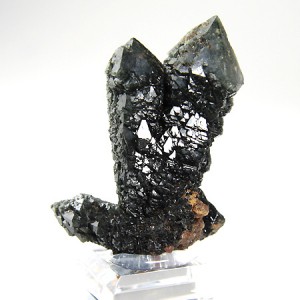 ダルネゴルクス産水晶(dlcr001-1)